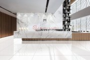 Gạch Ốp Lát APODIO 61181001